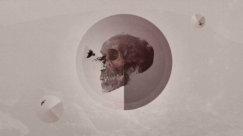 Skull with Birds