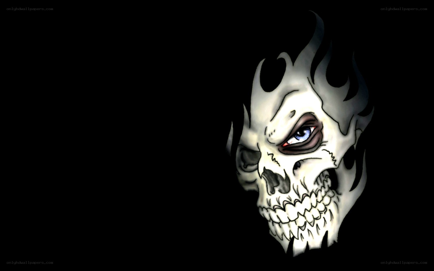 skull with blue eye