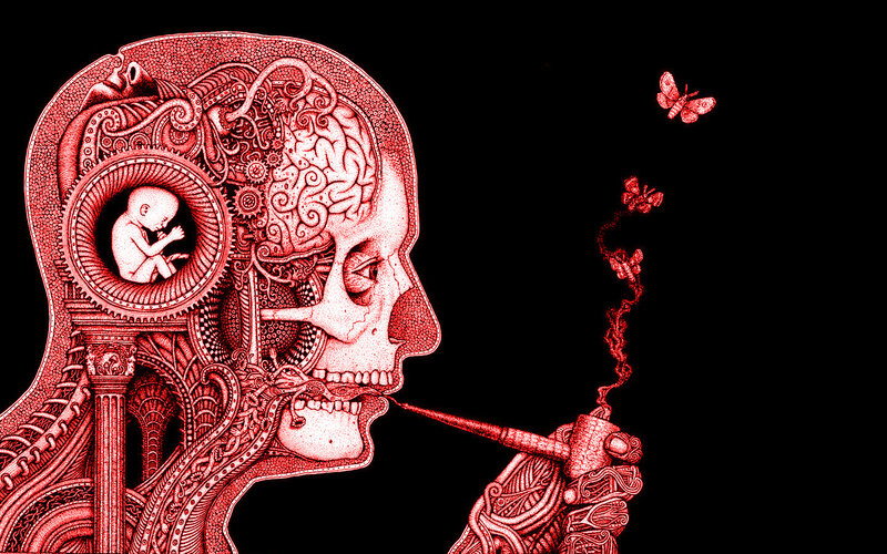 skull with brain and baby
