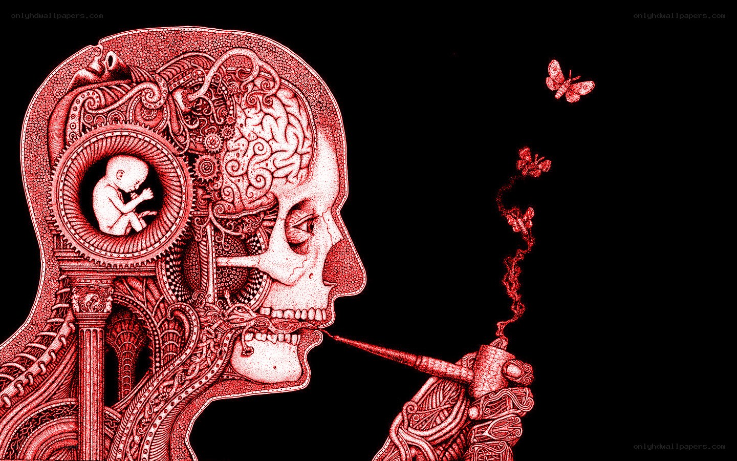 skull with brain and baby