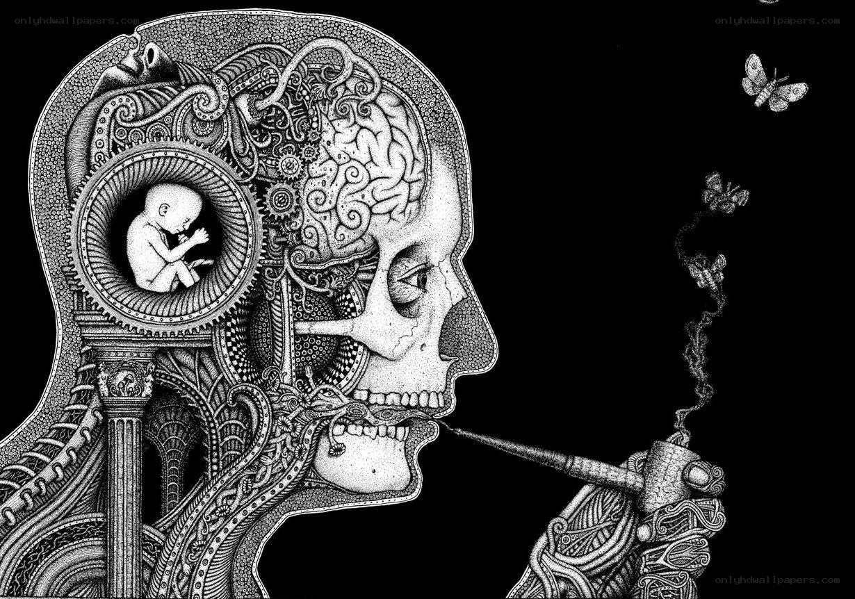 skull with brain and fetus