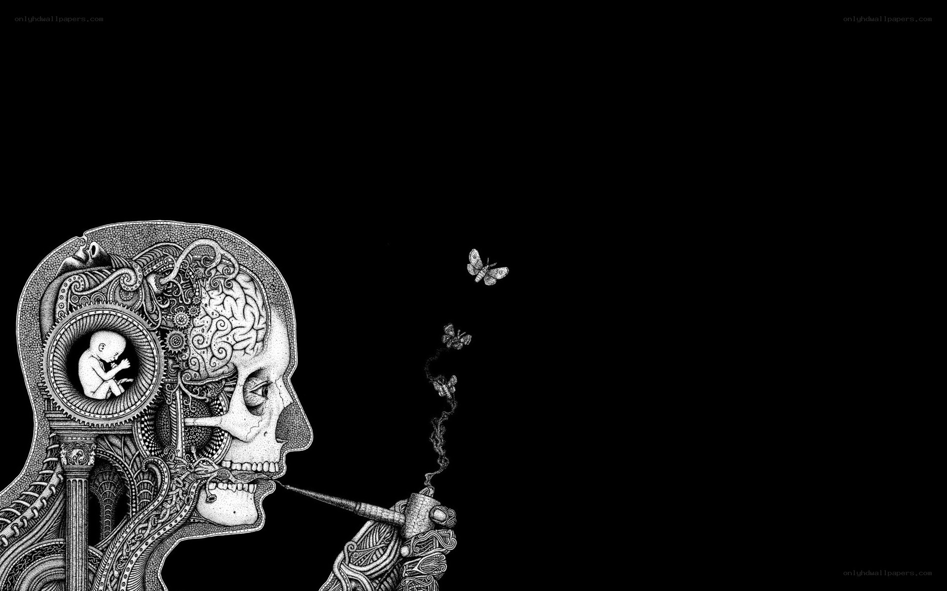 skull with brain and fetus
