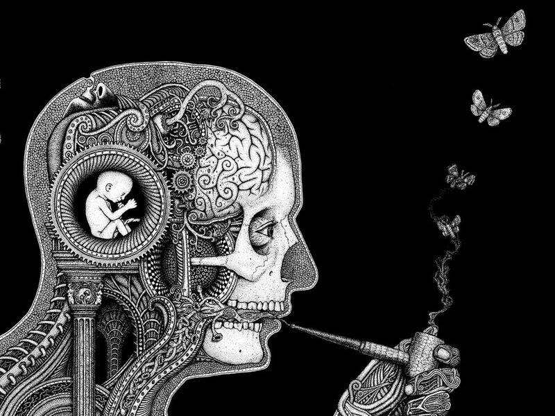 skull with brain and fetus