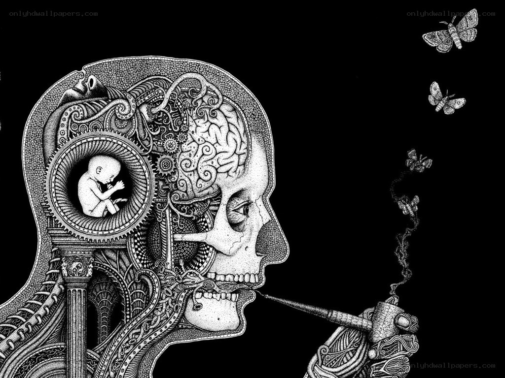 skull with brain and fetus