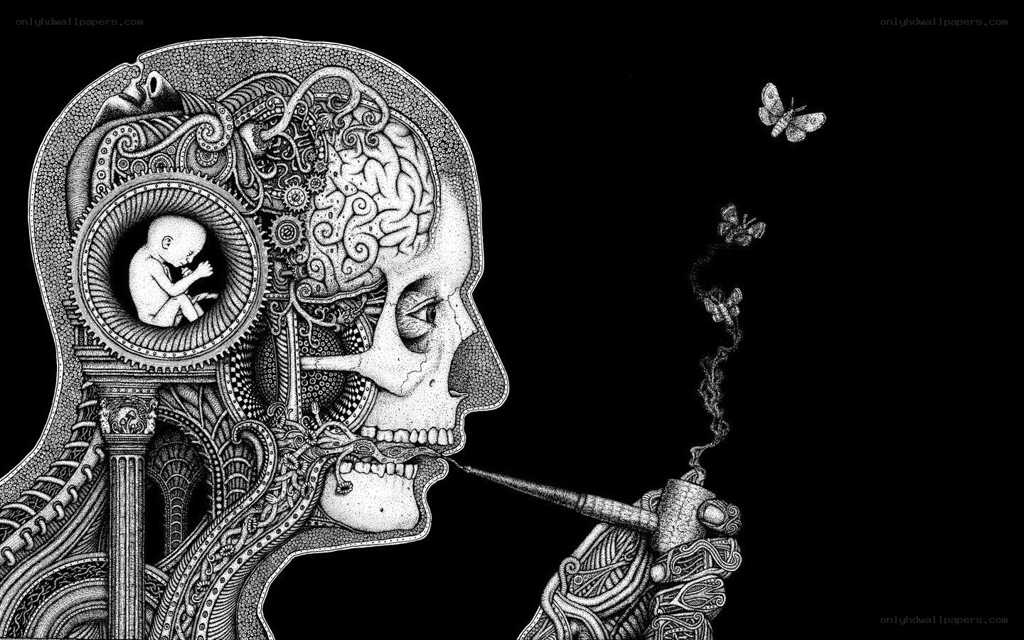 skull with brain and fetus