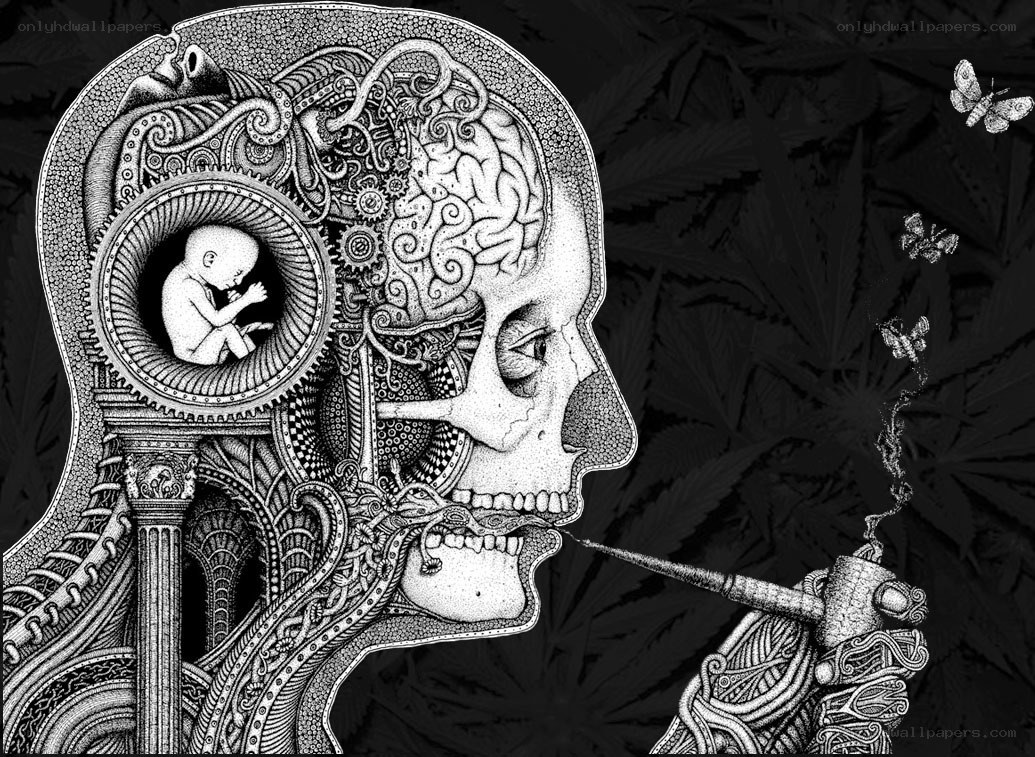 skull with brain and fetus