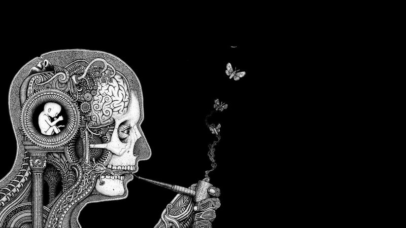 skull with brain and fetus