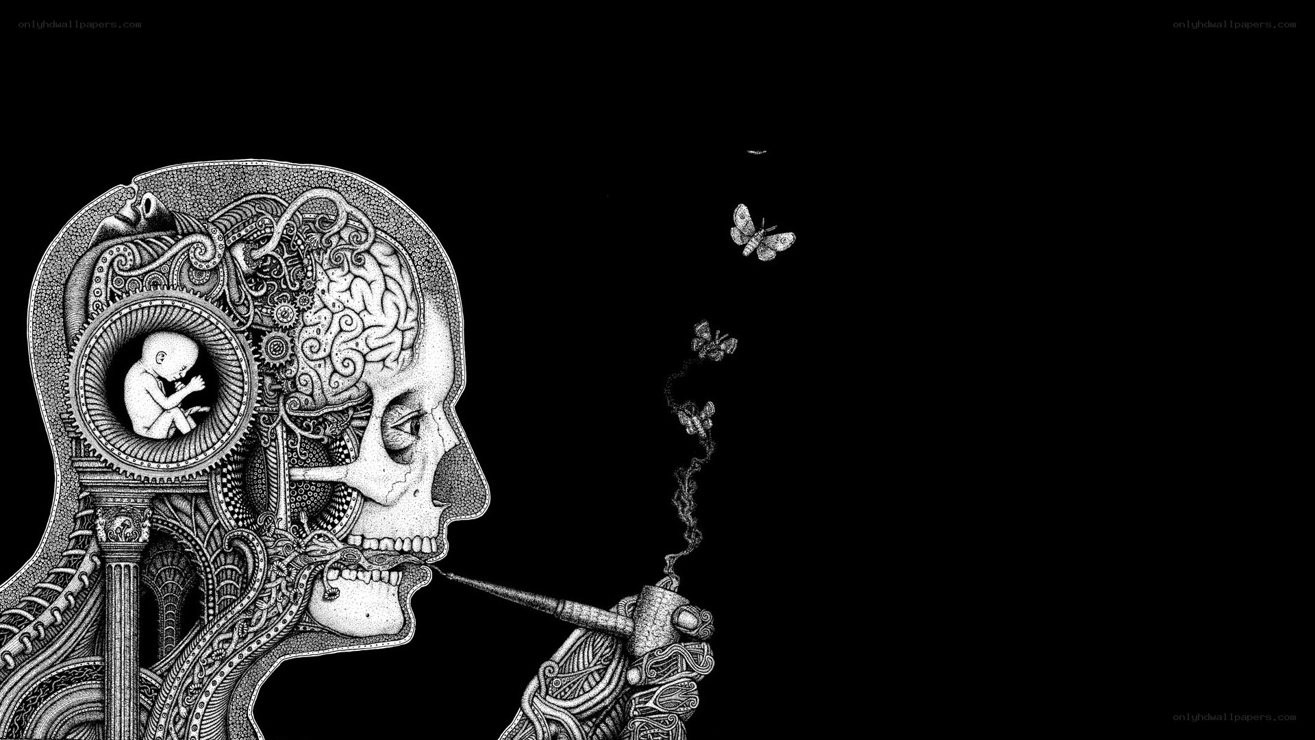 skull with brain and fetus