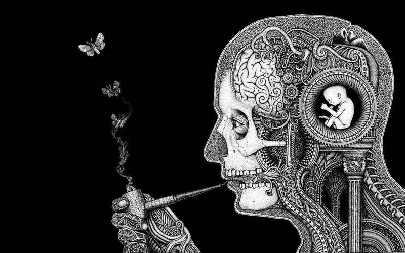 Skull with Brain and Fetus — Black, Dramatic, Illustration, Pipe, Butterflies