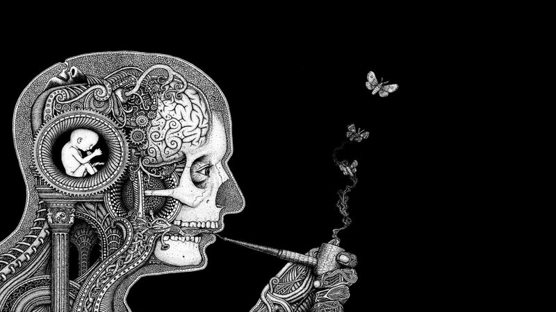 Skull with Brain and Fetus — Black, Dramatic
