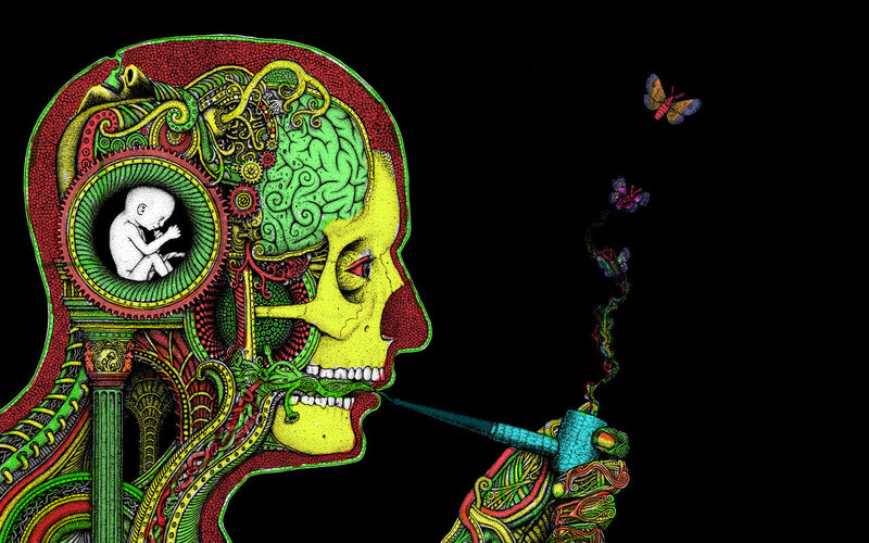 Skull with Brain and Fetus — Black