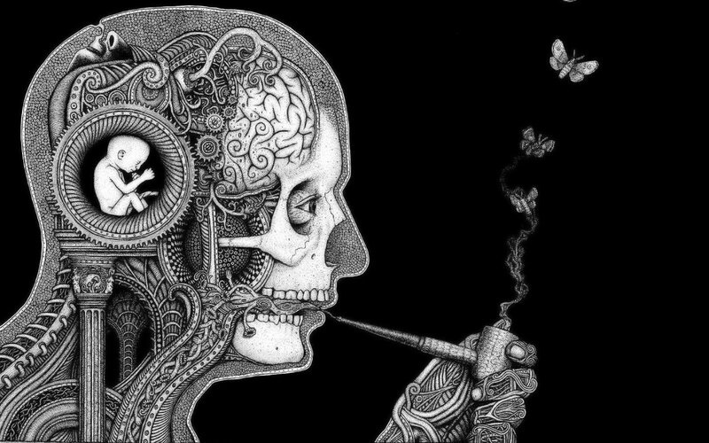 Skull with Brain and Fetus — Butterflies