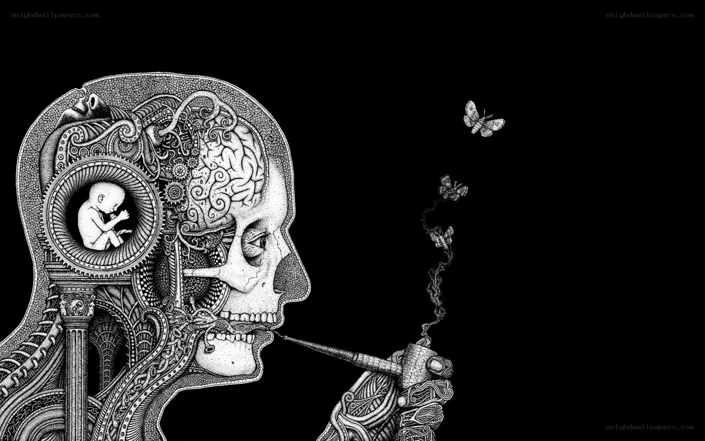 skull with brain and fetus