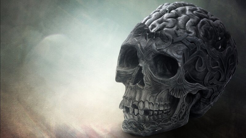 Skull with Brain Texture — Gray, Dark