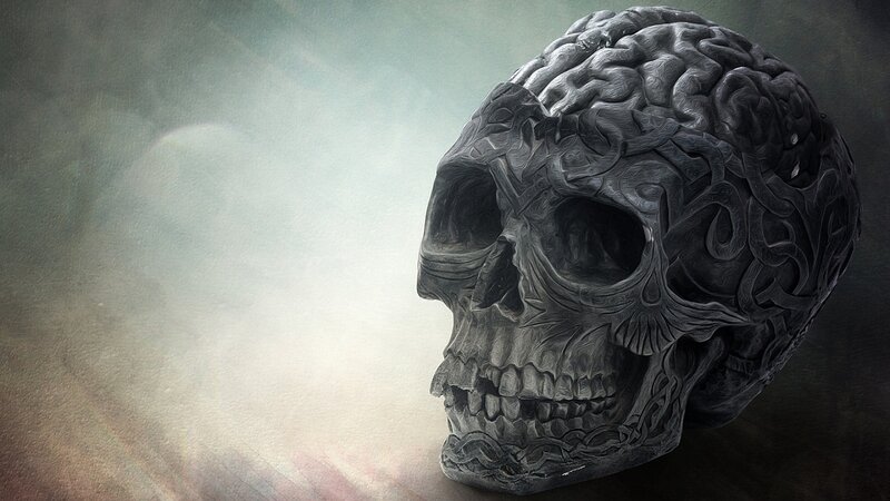 Skull with Brain Texture