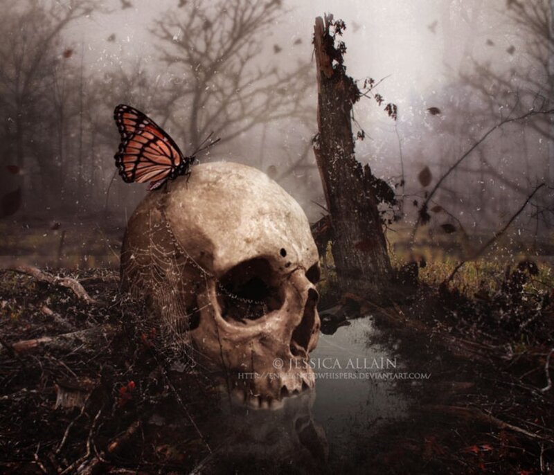Skull with Butterfly — Brown
