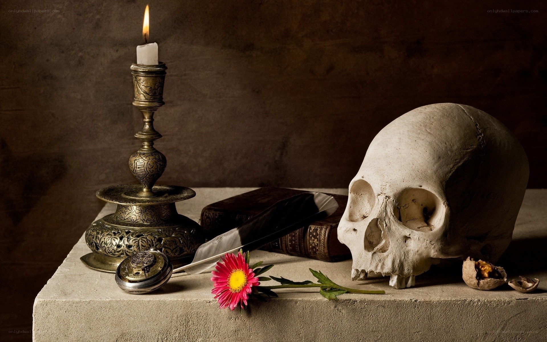 Skull with candle and flower