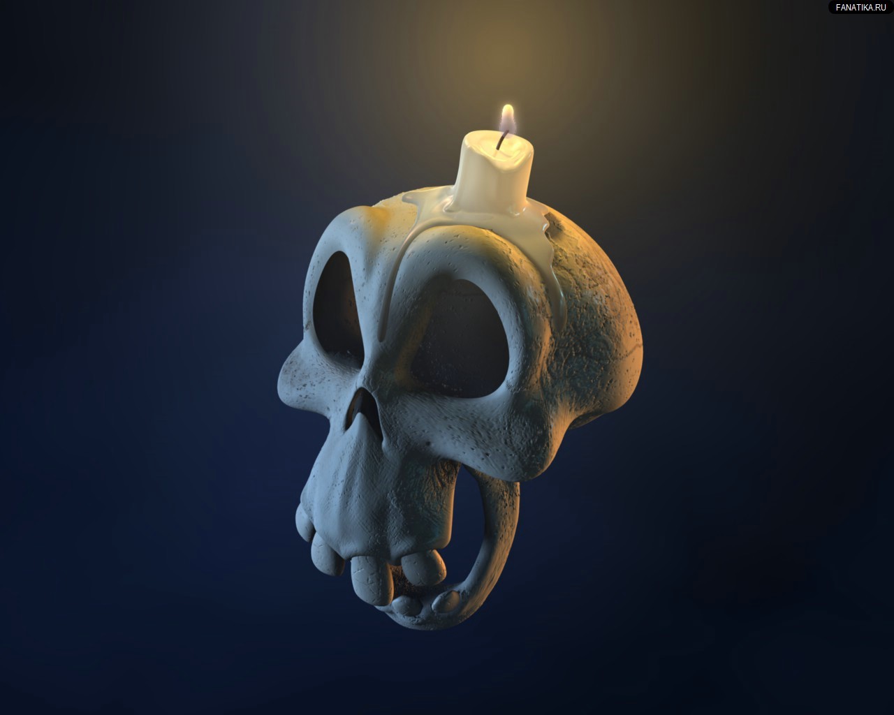 skull with candle