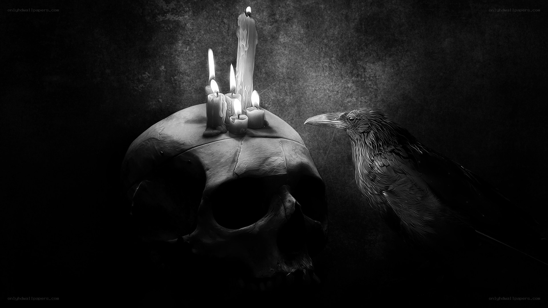 skull with candles and crow