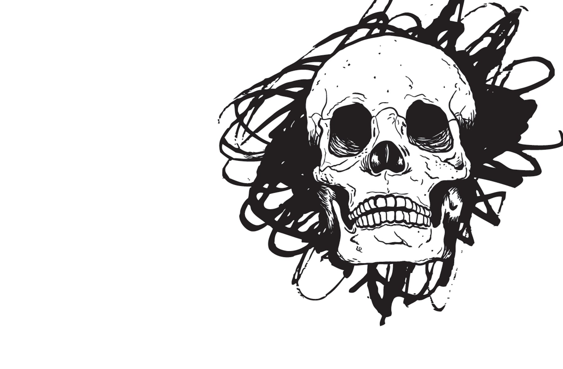 skull with chaotic hair