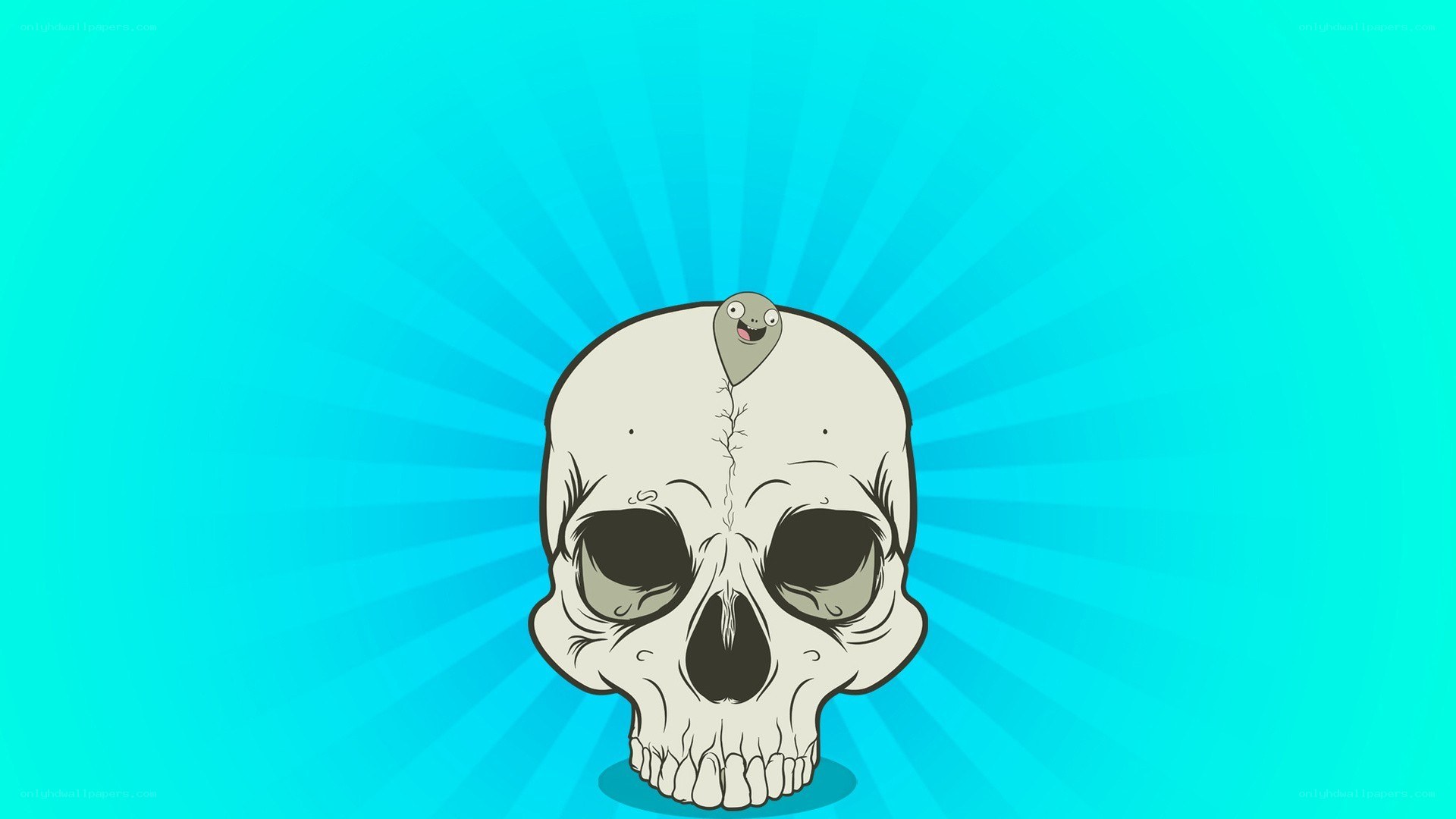 skull with creature on head