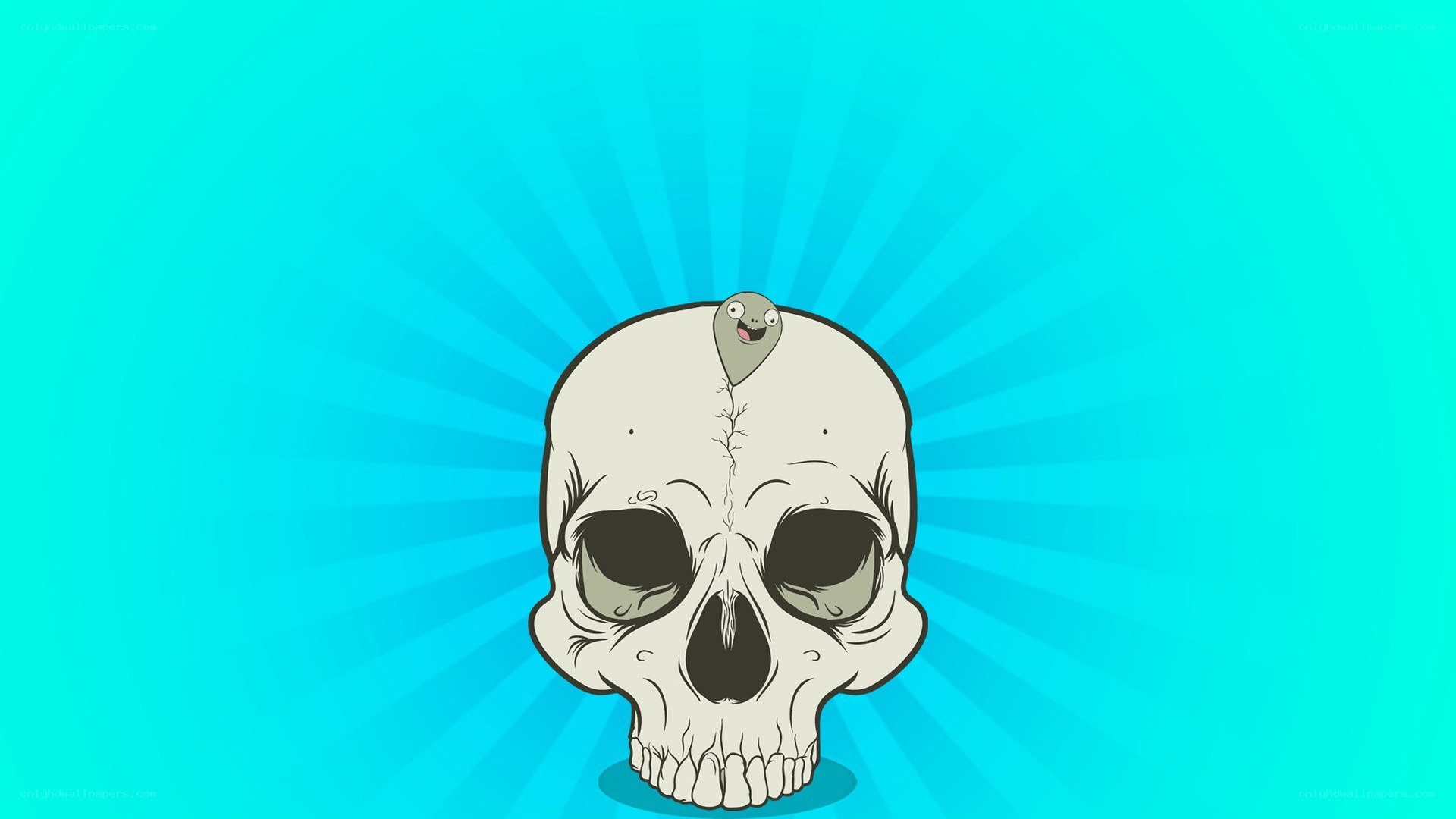 skull with creature on head