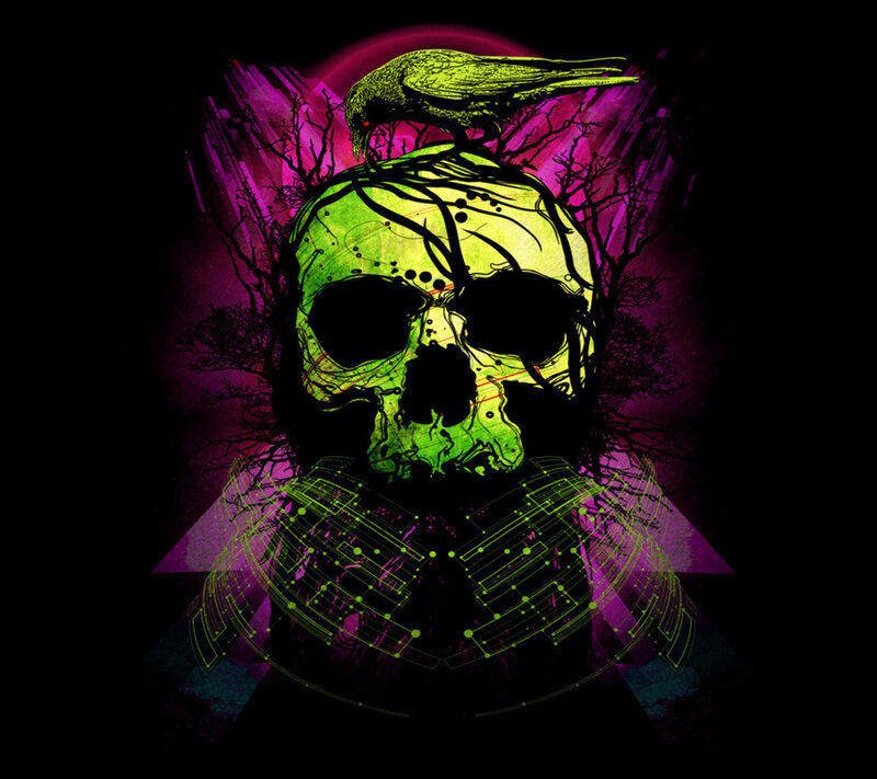 Skull with Crow