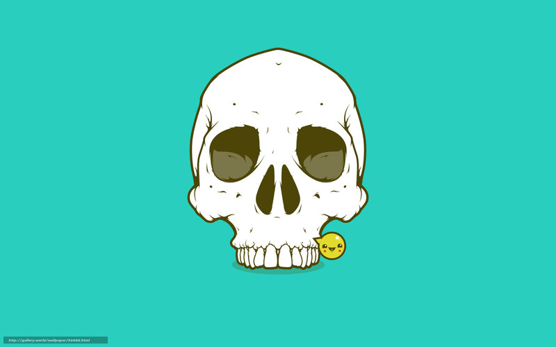 Skull with cute character