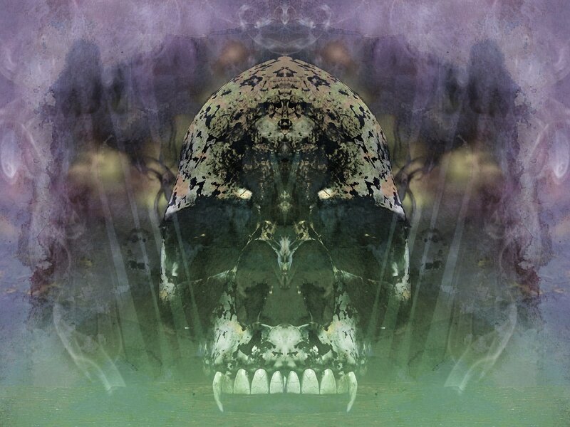 Skull with Fangs