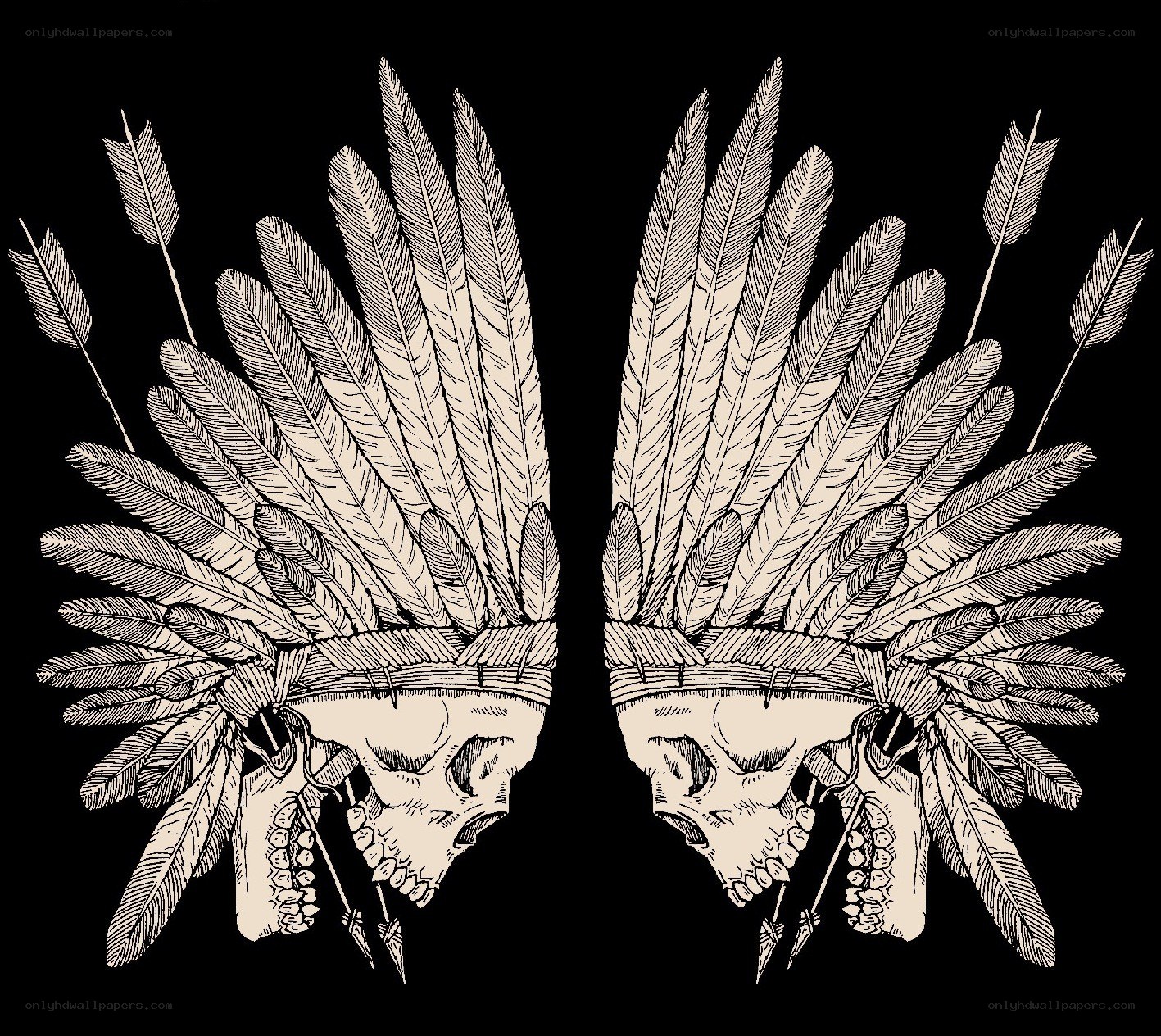 skull with feather headdress