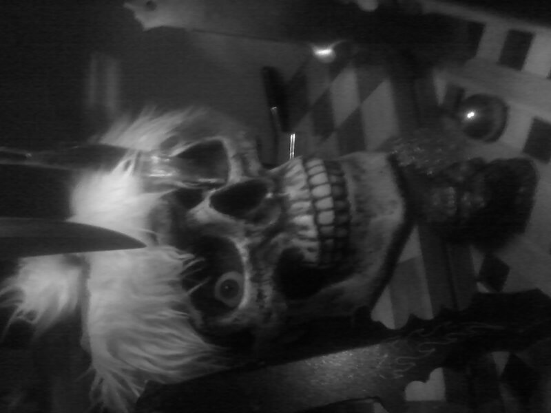 Skull with Feathers