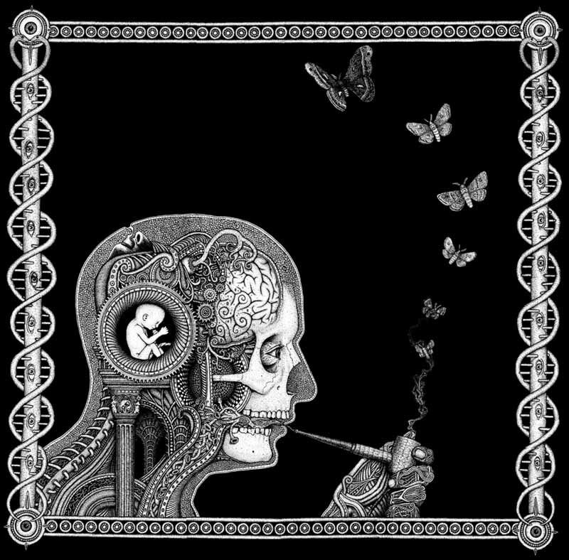 skull with fetus and butterflies