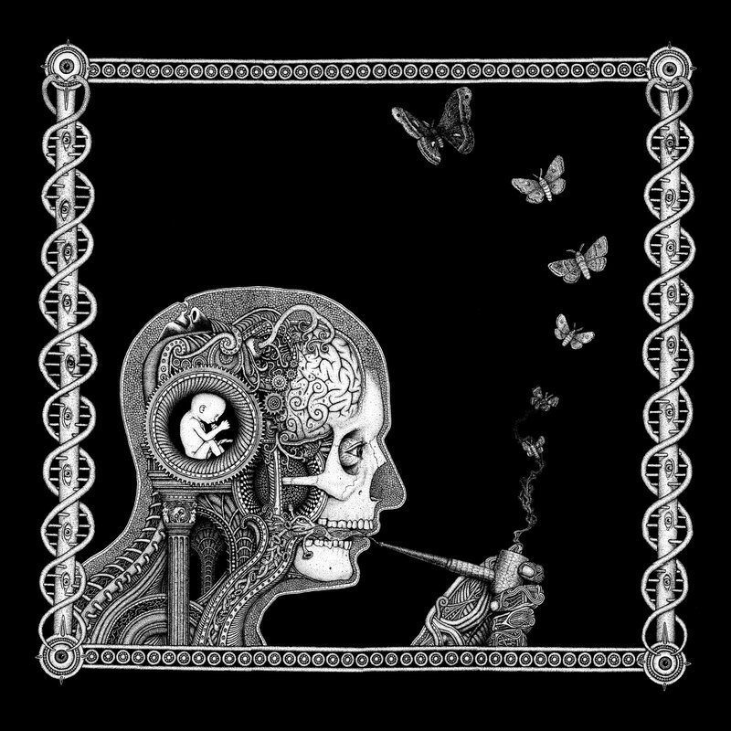 skull with fetus and butterflies