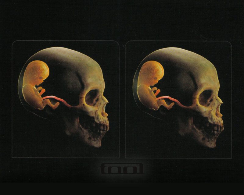 skull with fetus imagery