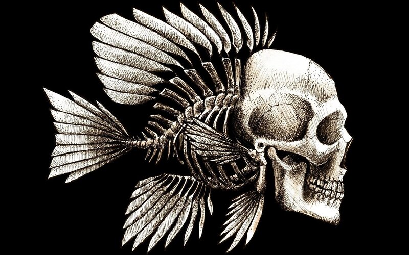 Skull with Fish Skeleton