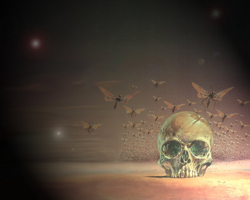 Skull with flying insects