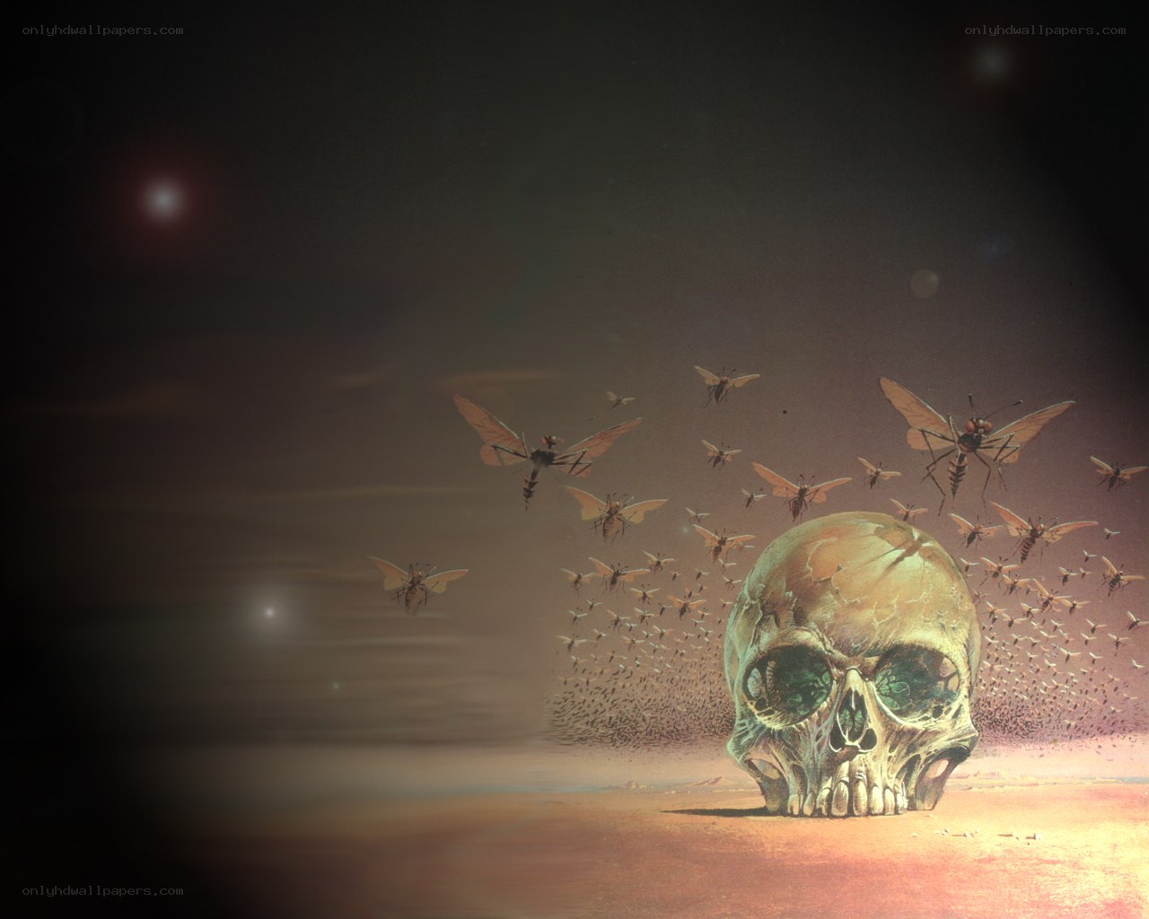 Skull with flying insects