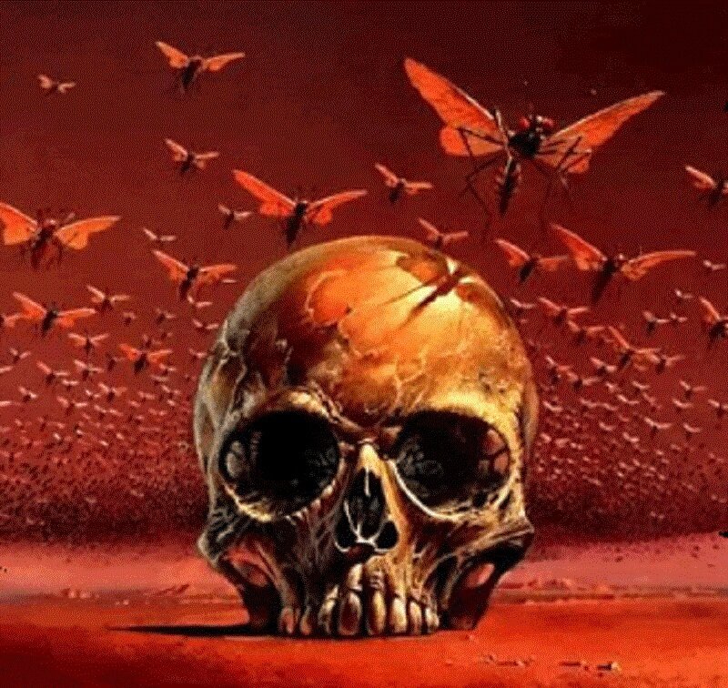 Skull with Flying Insects — Red
