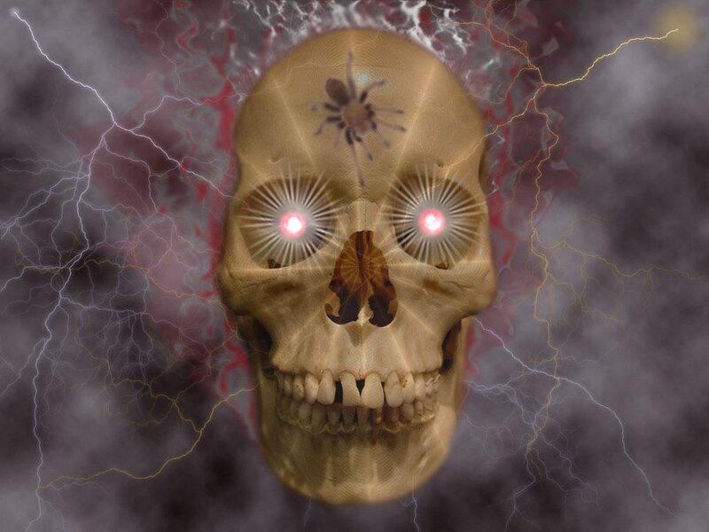 skull with glowing eyes and spider