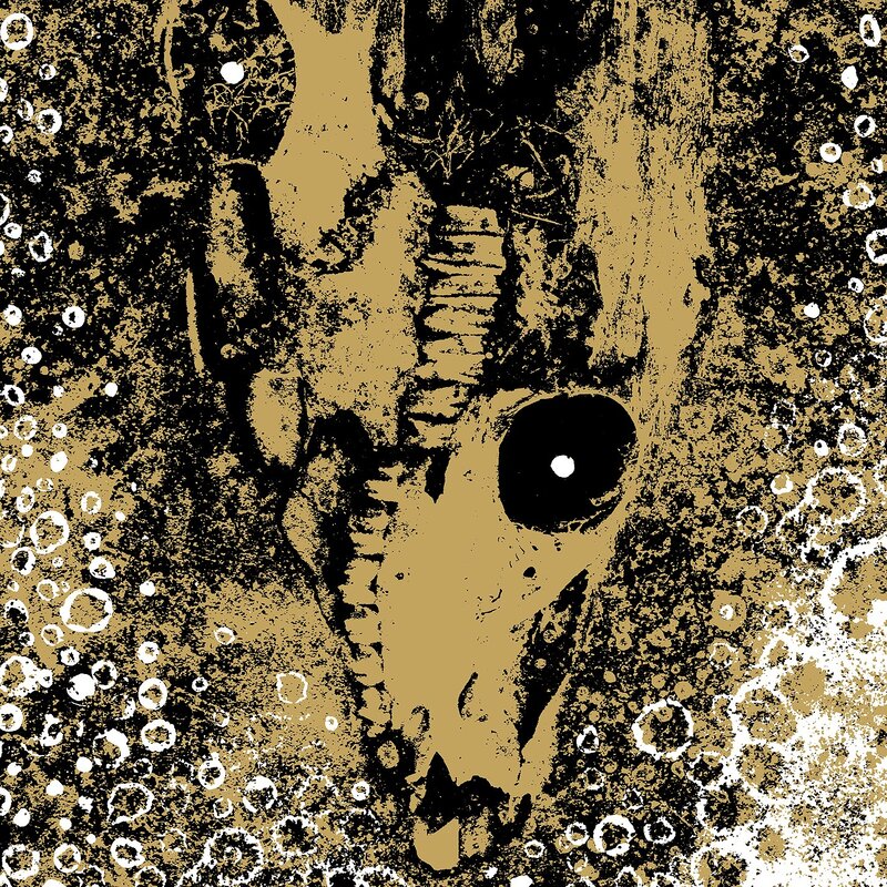 skull with golden texture