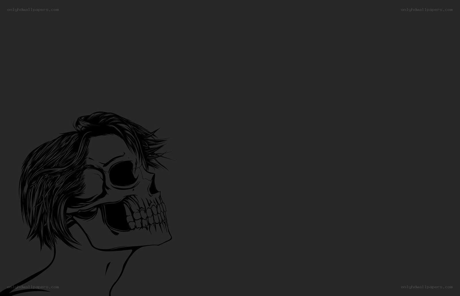skull with hair profile