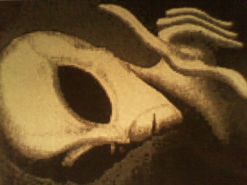 Skull with Horns — Brown