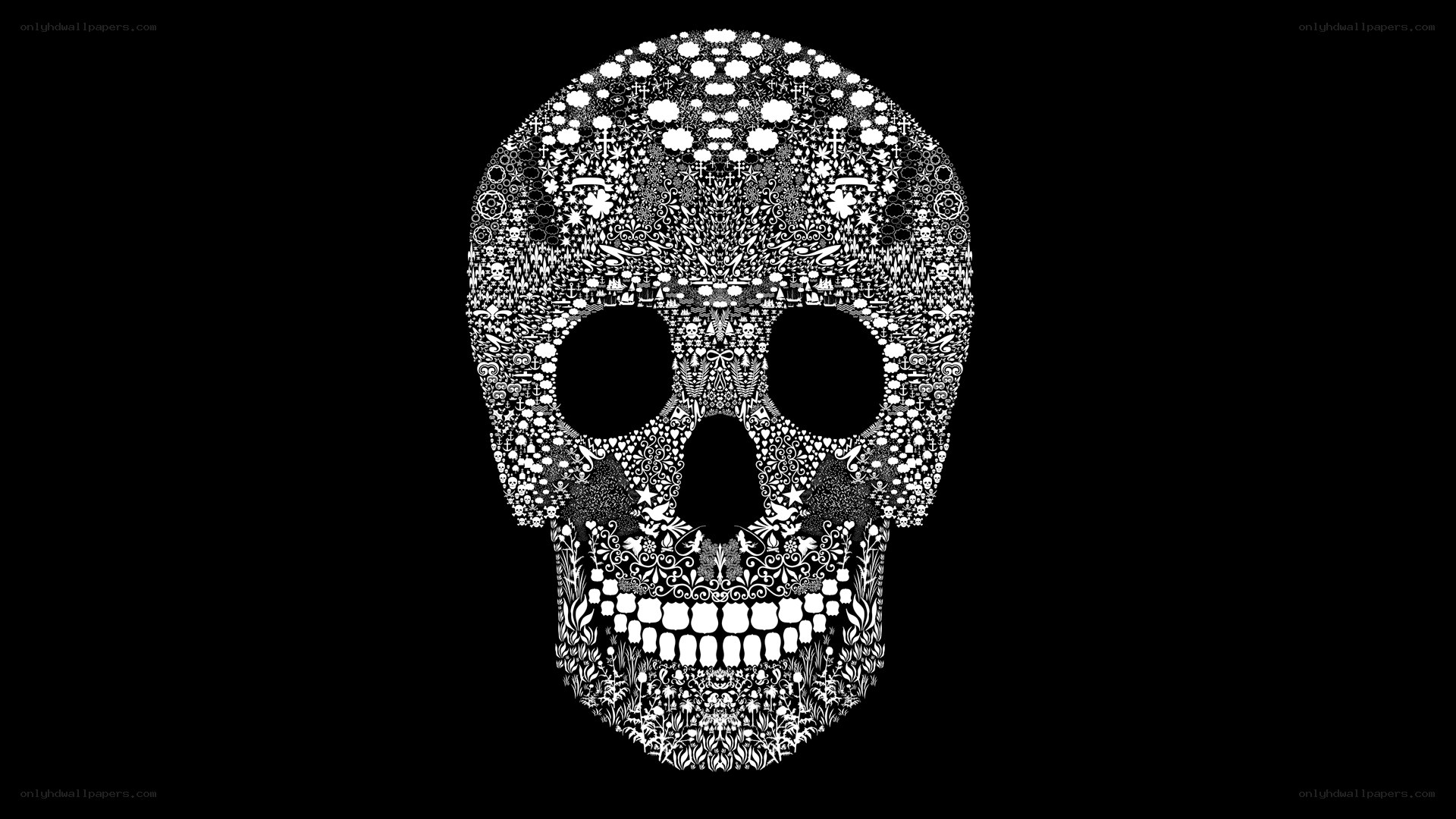Skull with intricate patterns