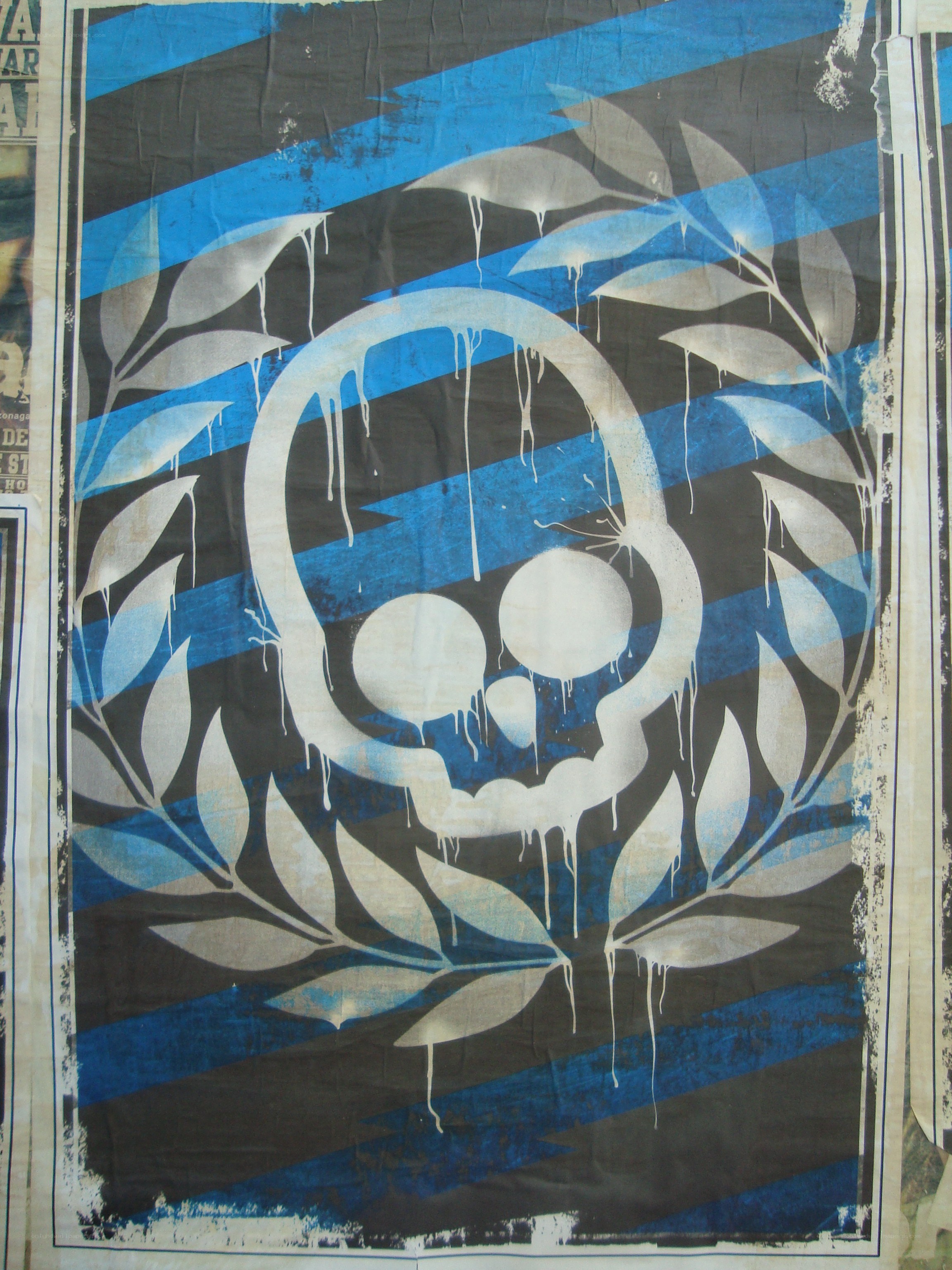 skull with laurel wreath poster