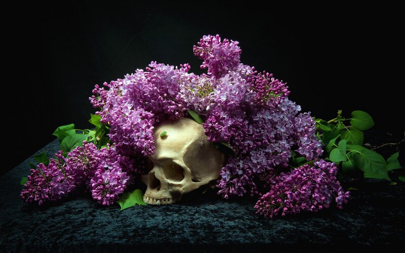 Skull with Lilac Flowers