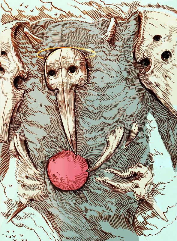 Skull with Long Beak