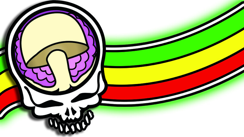 Skull with mushroom and rainbow stripes