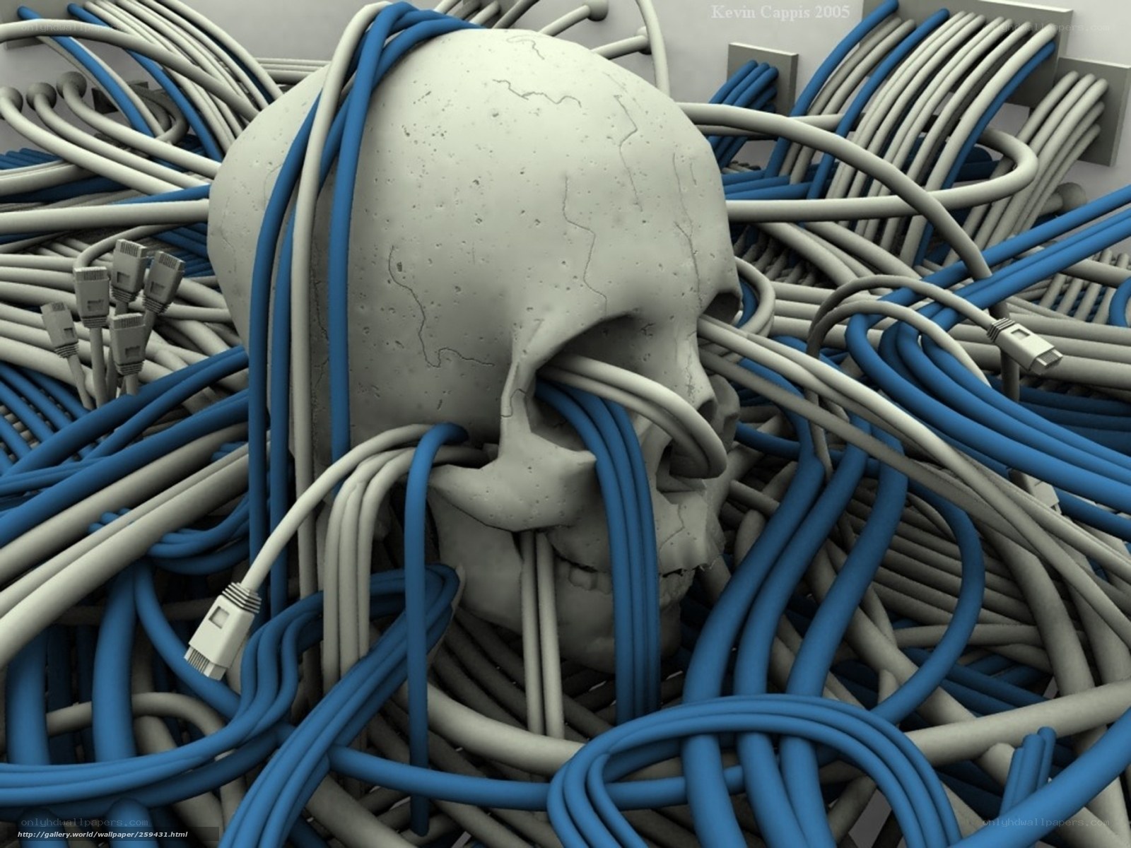 skull with network cables