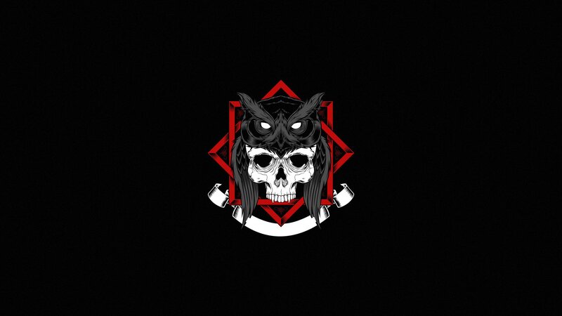 Skull with Owl Head