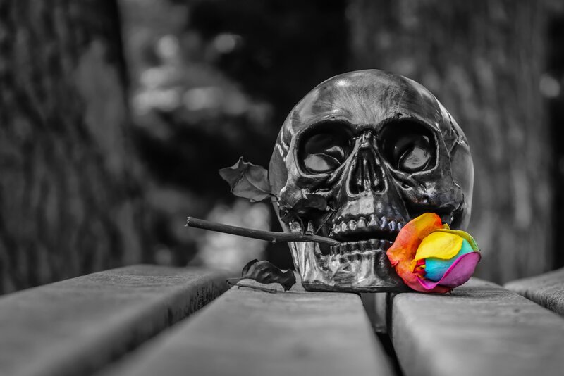 Skull with Rainbow Rose — Black